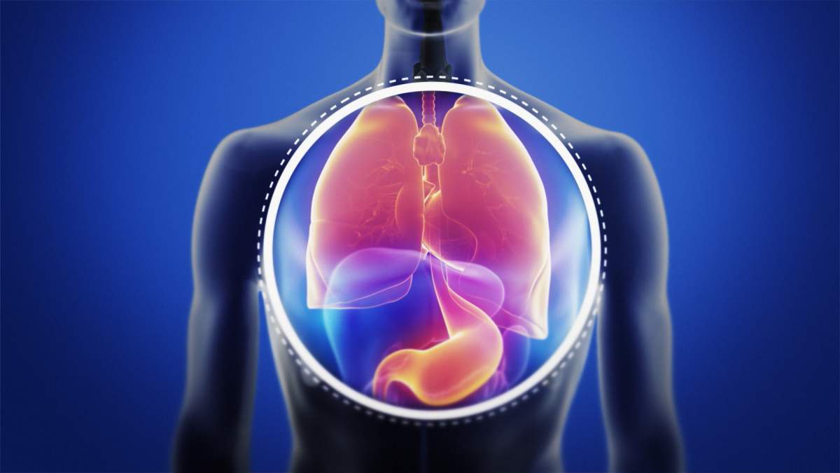 Dry coughs, wet coughs, mucus: Everything you need to know about coughs and phlegm - image