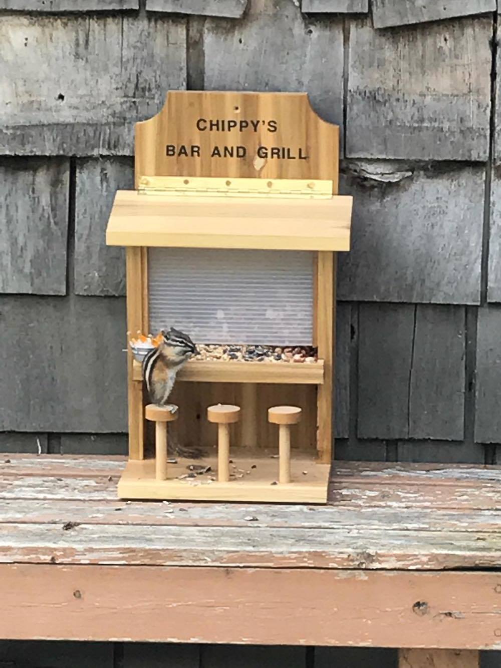 Chippy’s Bar and Grill: Alberta couple makes special chipmunk feeder