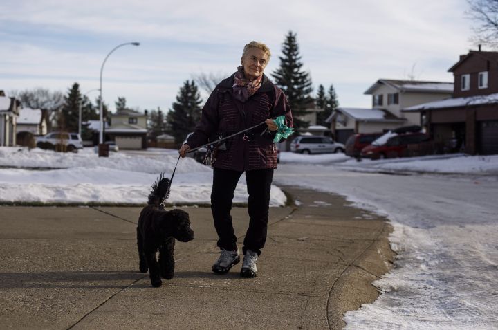 Davida Marantz walks her neighbours dog in Edmonton Alta, on Friday December 1, 2017. A new Alberta legislation regarding high veterinary fees has been passed, Davida Marantz was hit with a huge bill a few years ago.