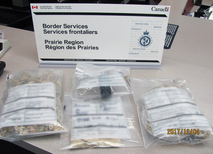 A B.C. man is accused to trying to smuggle doda, a powdered opiate, across the Saskatchewan-U.S. border.