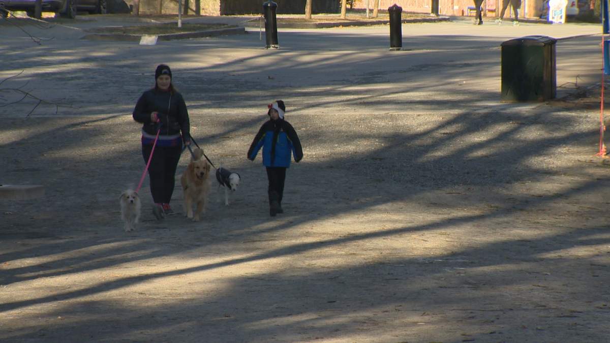 The City of Calgary Animal Services is reminding pet owners to take care of their furry friends during the extreme cold that's currently enveloped much of the city and province.