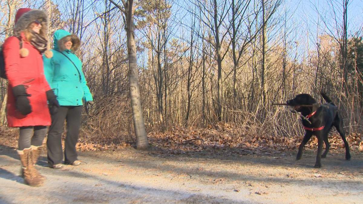 Erin O’Brien says she limits the amount of time her pup is outside when it’s cold.