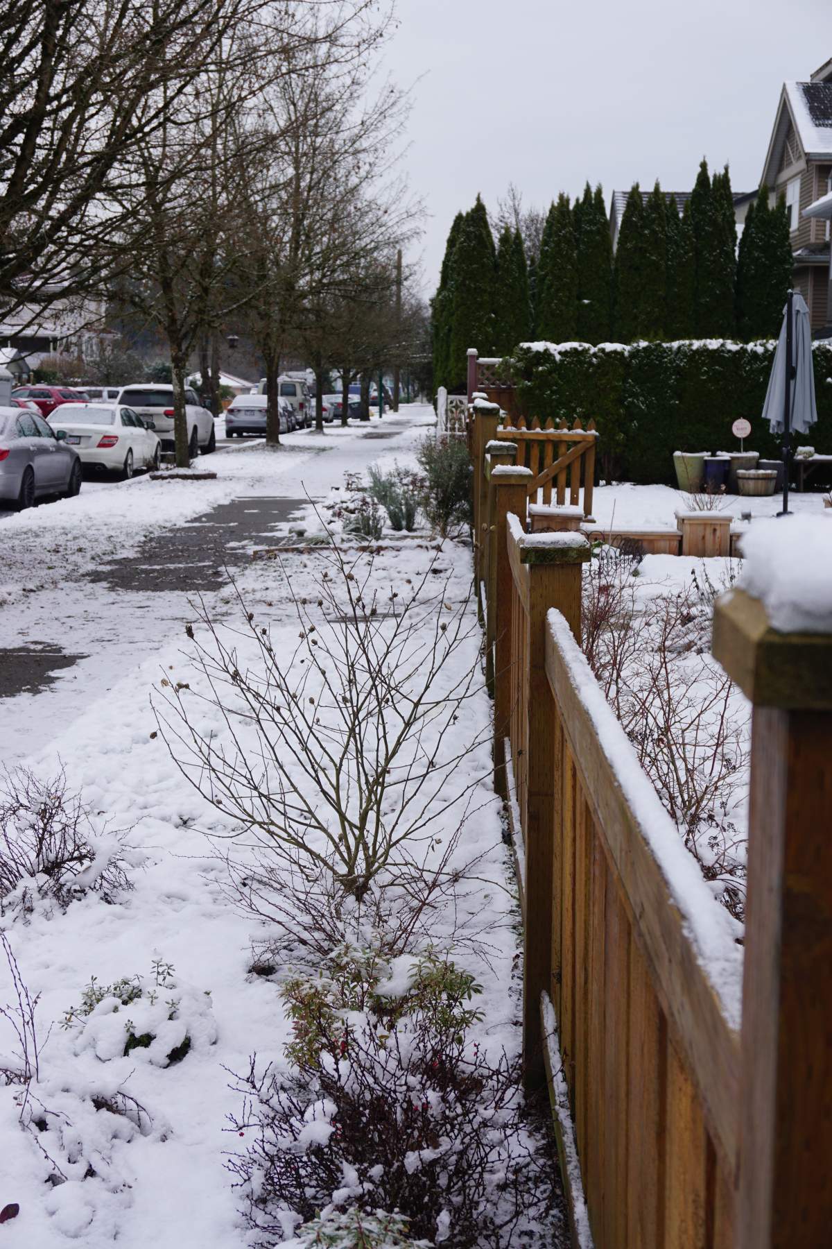 Snow on the ground in East Vancouver on Dec. 25, 2017.