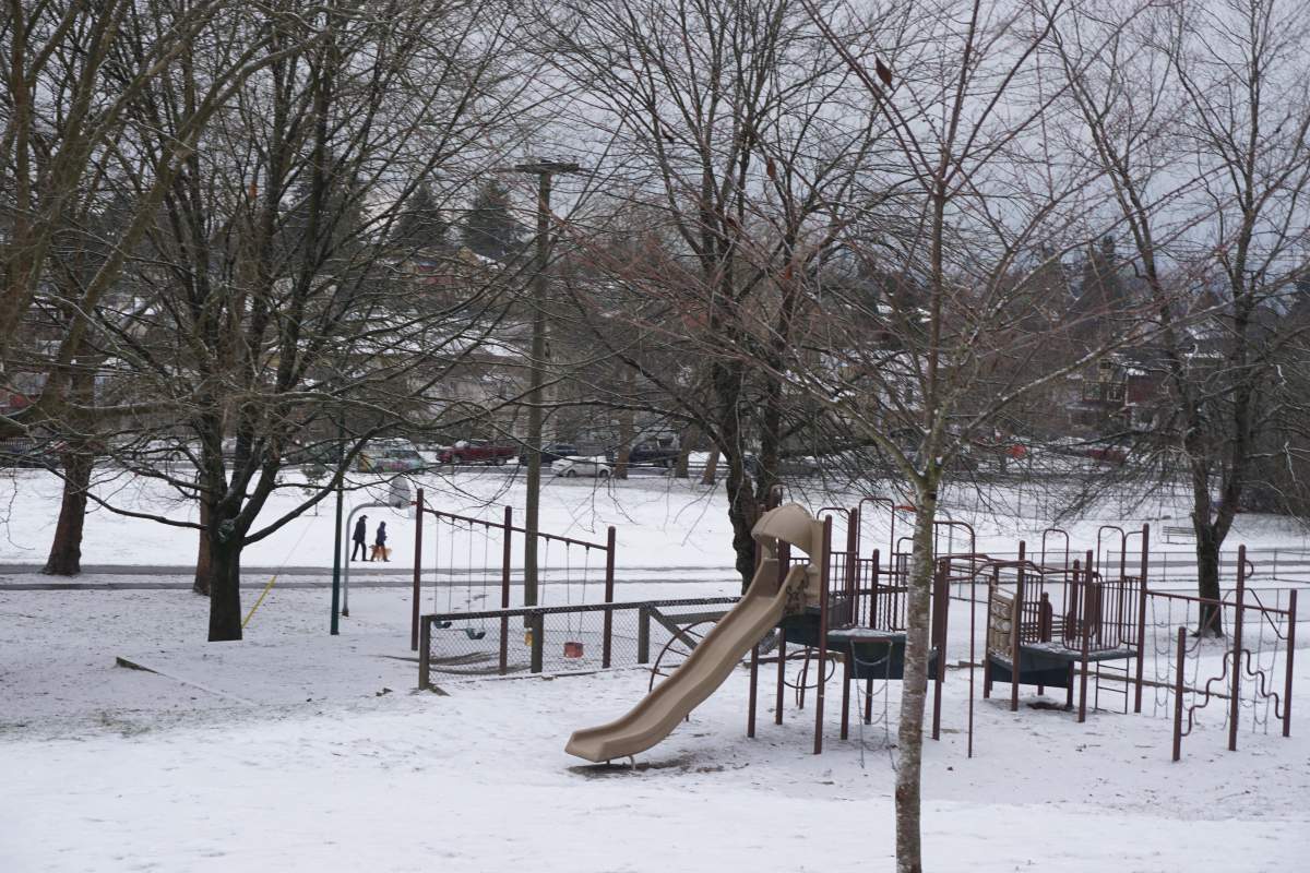 Snow on the ground at Trout Lake in East Vancouver.