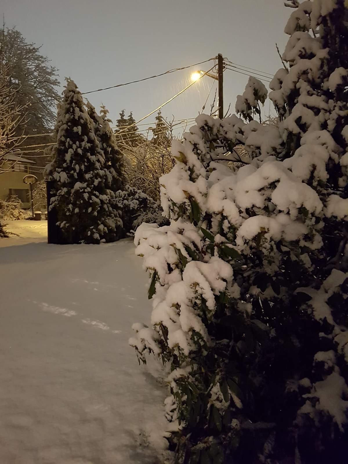 Snow in Duncan. Credit: Tina Turan