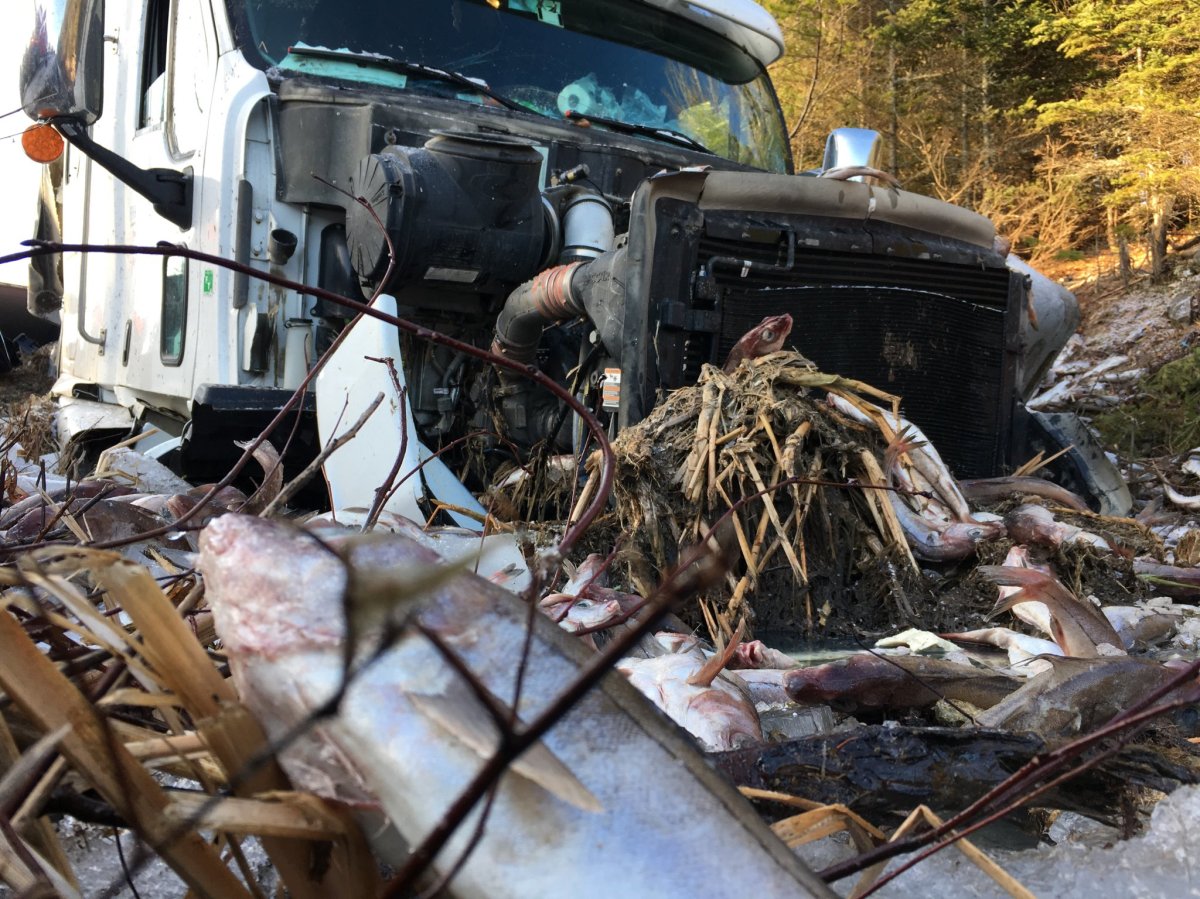 A truck carrying thousands of kilograms of lobster and haddock crashed into a ditch off a Nova Scotia highway on Thursday.