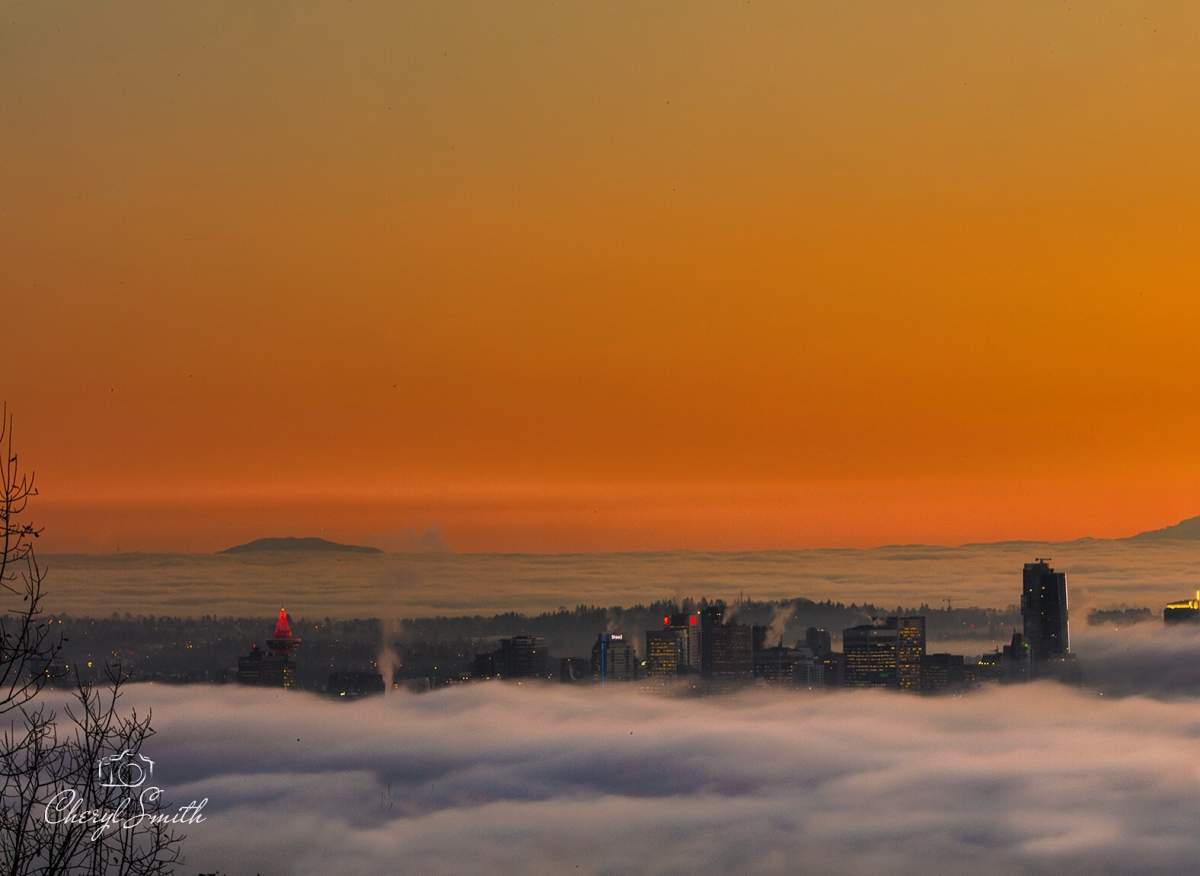 Credit: Cheryl Smith