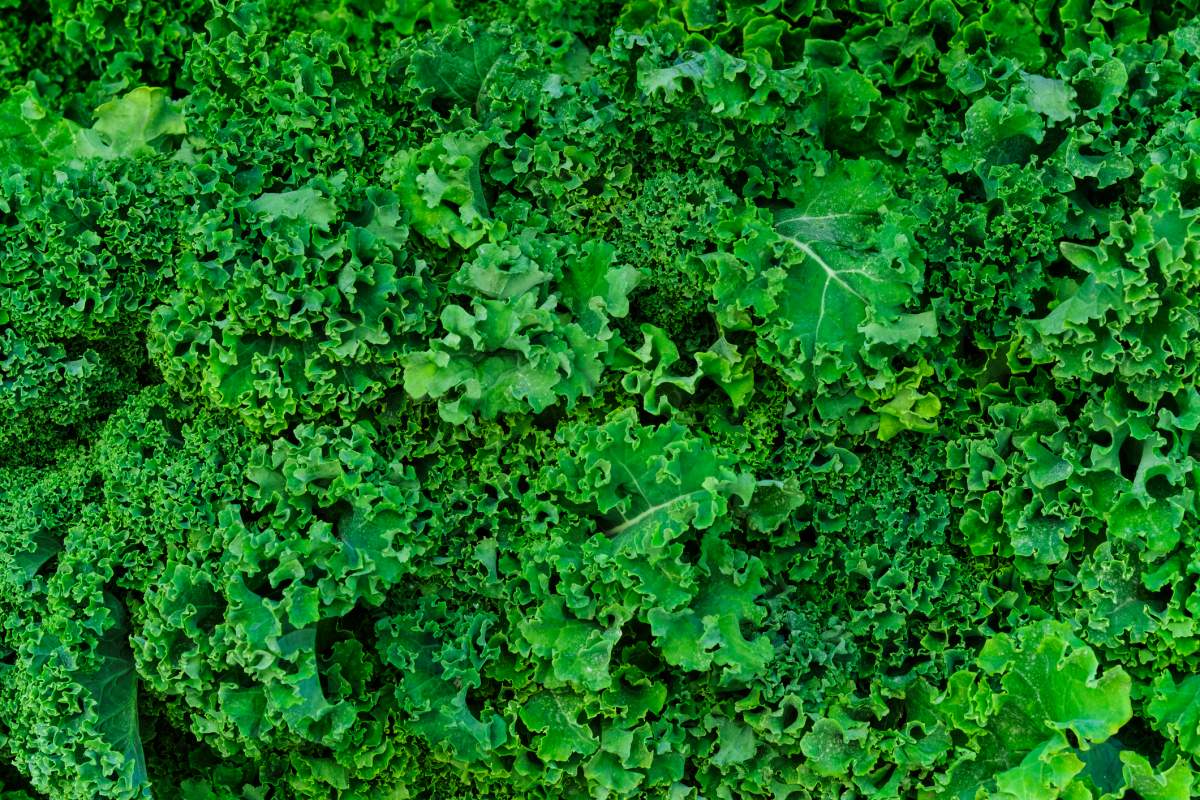 Fruits and vegetables you should never eat raw — and the ones you should - image