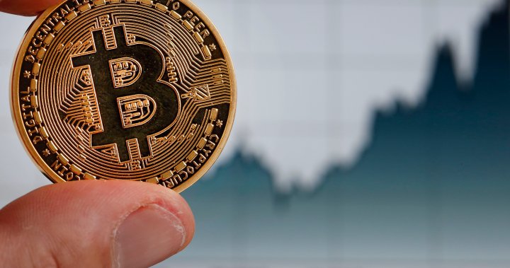 Bitcoin rally is ‘blowing-the-doors-off previous bubbles,’ said Bank of America – National