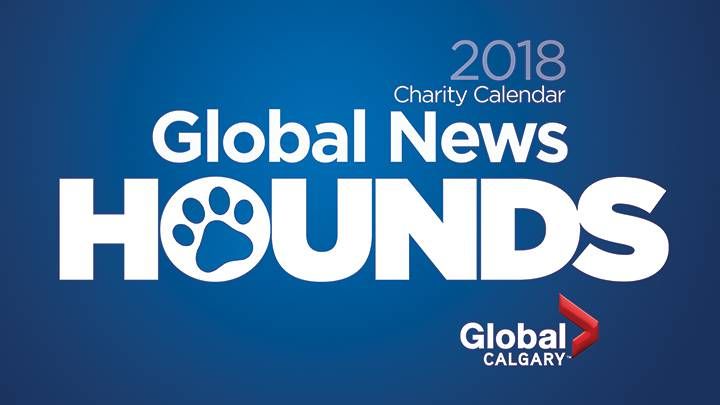 Global News Hounds in Calgary - image