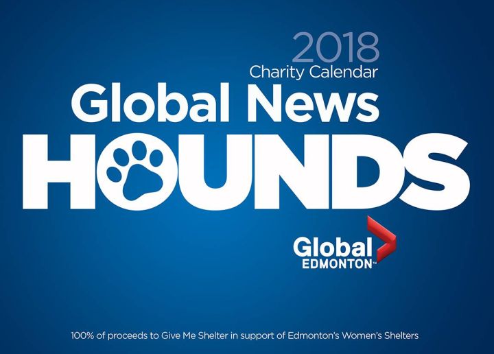 Global News Hounds in Edmonton - image