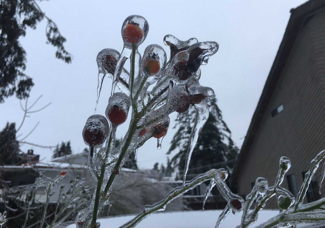 In Photos: Here’s What An Extreme Cold Snap Looks Like In Canada ...