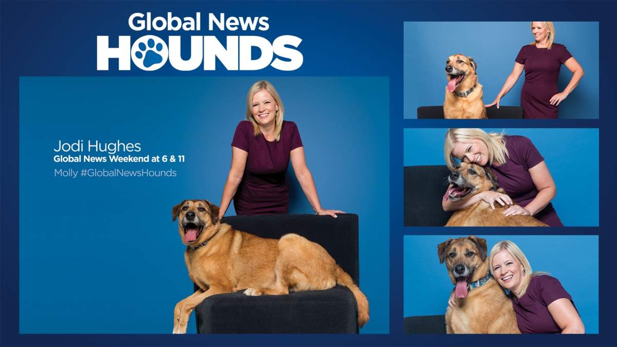 Global News Weather Anchor JODI HUGHES with her Global News Hound MOLLY