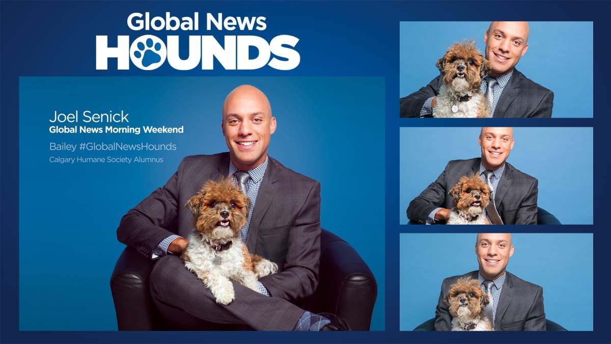 Global News Anchor JOEL SENICK with BAILEY, a Calgary Humane Society Alumnus. Bailey’s story below, as told by her adoptive family: