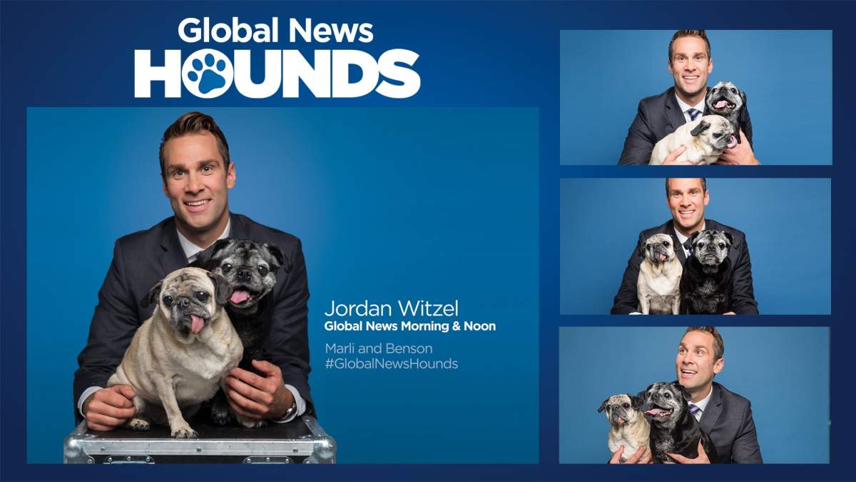 Global News Meteorologist JORDAN WITZEL and his Global News Hounds MARLI and BENSON