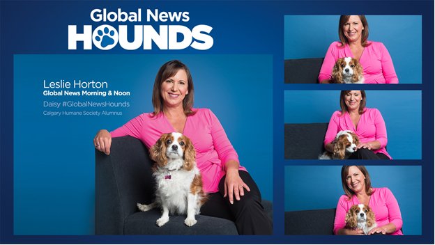 Global News Anchor LESLIE HORTON with DAISY, a Calgary Humane Society Alumnus.
