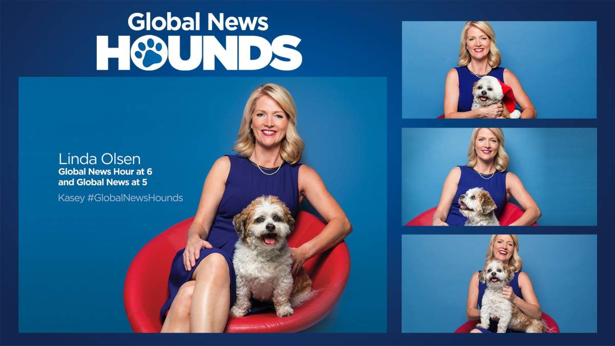 Global News Anchor LINDA OLSEN with her Global News Hound KASEY