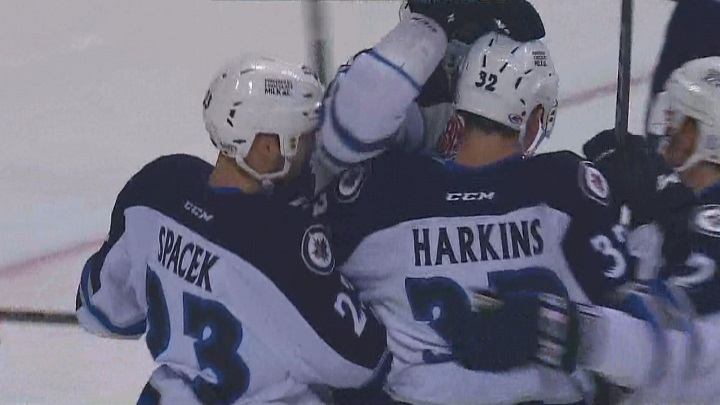 The Manitoba Moose celebrate a first period goal against the Milwaukee Admirals on Saturday.