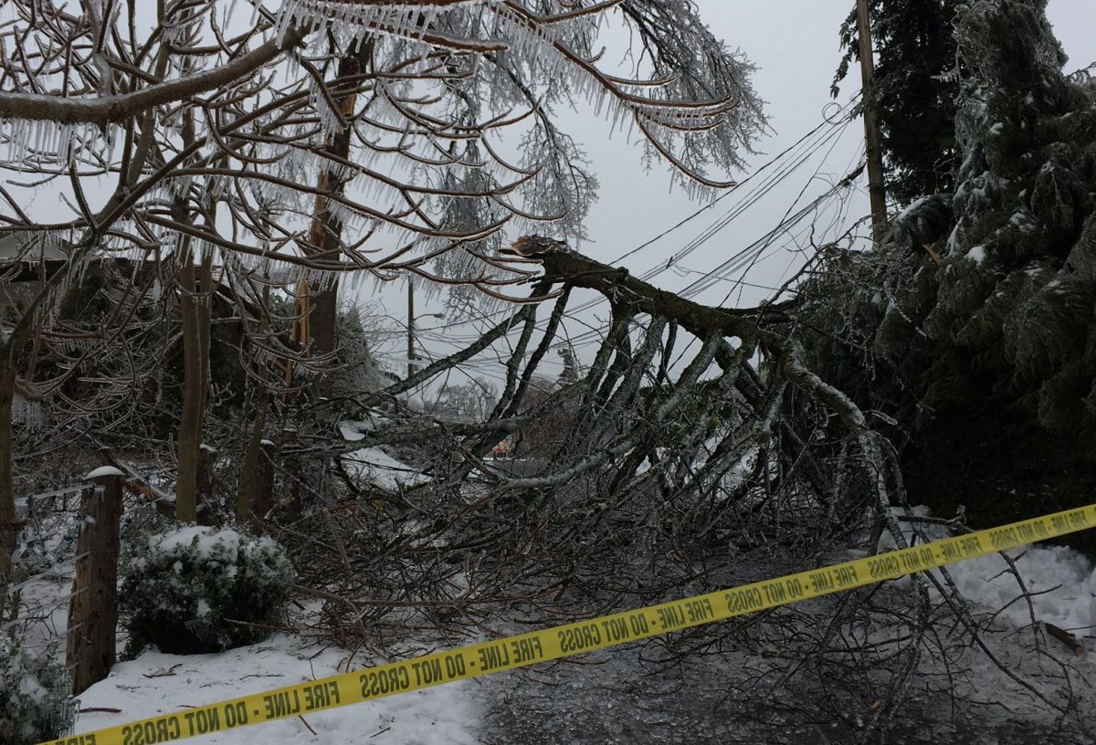 Fraser Valley homes still without power on New Year’s Day following ice storm - image