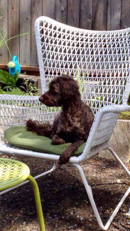 Murphy was last seen with a man in a white pickup truck.