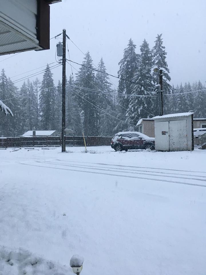 Snowstorm on Vancouver Island leaves thousands without power BC