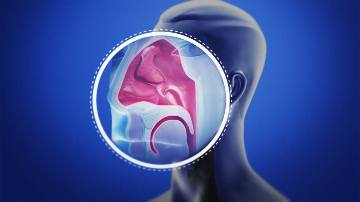 Dry coughs, wet coughs, mucus: Everything you need to know about coughs and phlegm - image