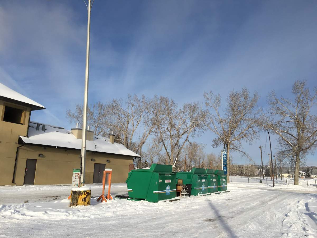 A newborn was found dead in a garbage bin behind a grocery store in the community of Bowness on Christmas Eve.