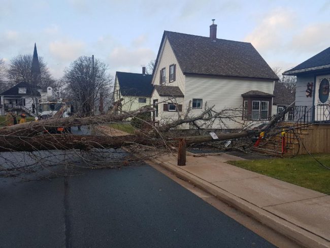 A fallen tree is seen in a residential neighbourhood in Milton, N.S., Dec. 25, 2017.