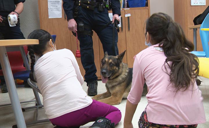 Some furry Saskatoon police members paid a visit to kids at Royal University Hospital.