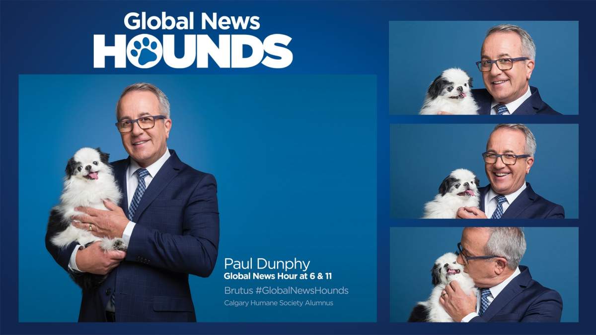 Global News weather anchor Paul Dunphy with his Global News Hound Brutus.
