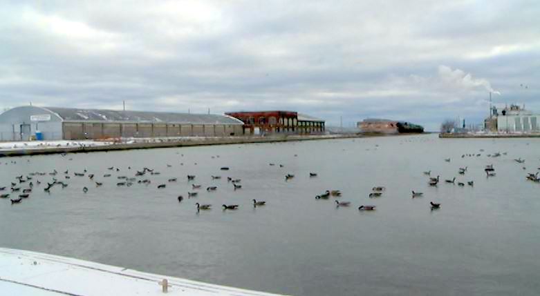 The area around Port Hope  harbor and the harbor itself will be the subject of a cleanup of low level radioactive waste.