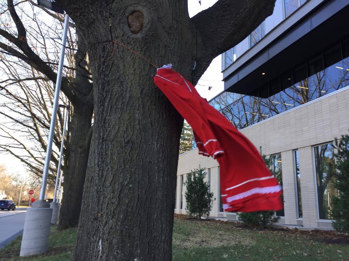 McMaster University hangs 100 red dresses to raise awareness of MMIWG - image
