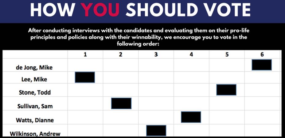 Anti-abortion group ranks B.C. Liberal leadership candidates - image