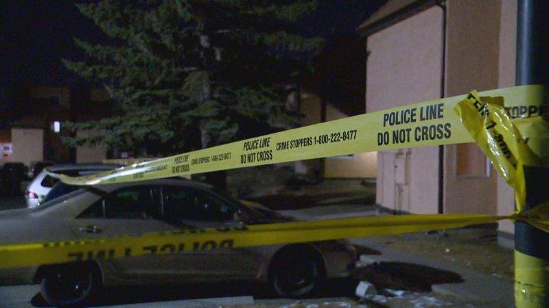 Calgary man charged with 2nd-degree murder in death of younger brother ...