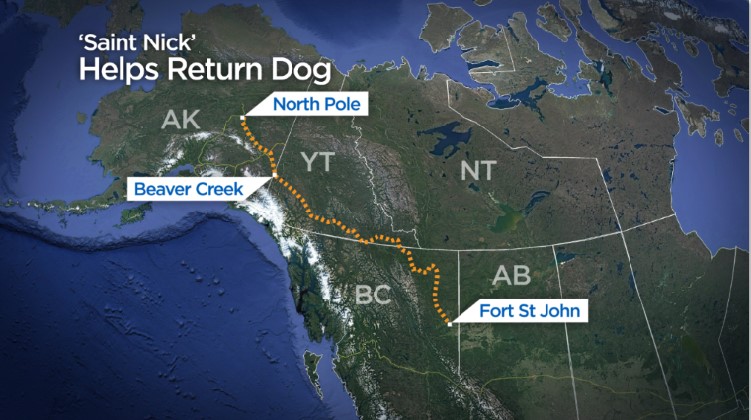 Edmonton’s ‘St. Nick’ helps return dog to North Pole, Alaska - image