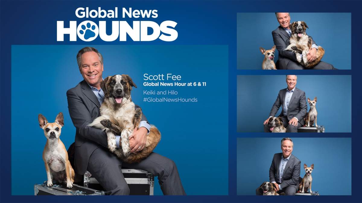 Global News anchor Scott Fee with his Global News Hounds – Keiki and Hilo