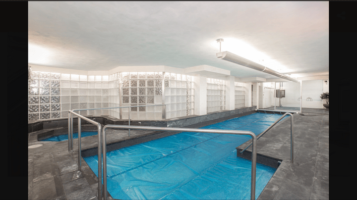 Picture of the pool from the real estate listing for 50 Old Colony Road. Courtesy: Remax.ca