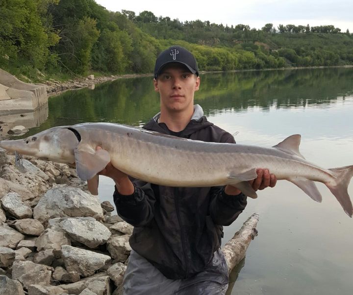 22-year-old Stephan Hendrick Kody.