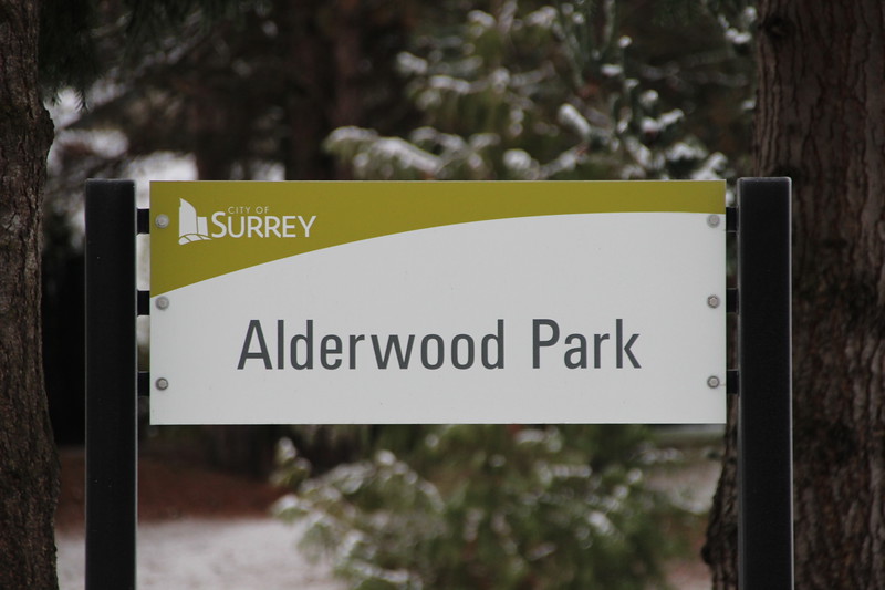 Credit: Shane MacKichan.