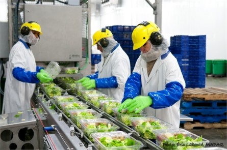 Vernon plant will rely heavily on foreign workers - image