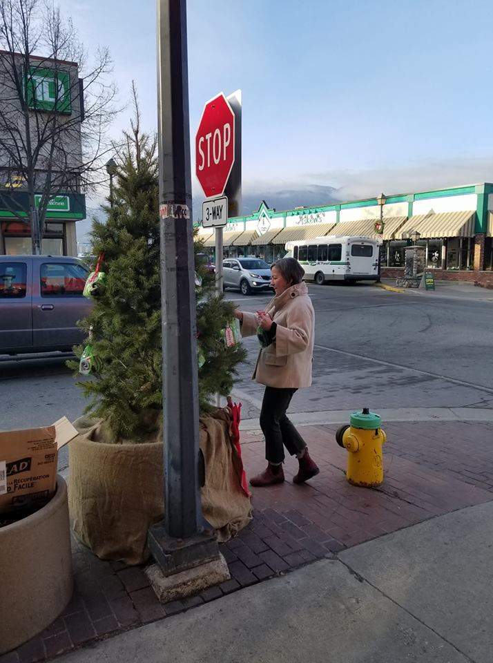 Season of giving inspires a unique act of kindness in the Shuswap - image