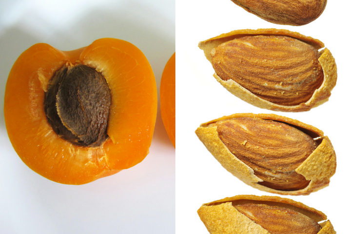 Как отличить миндаль от абрикосовых косточек фото в разрезе и по вкусу