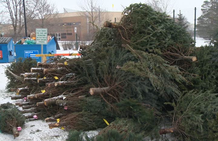 People are being reminded by the City of Saskatoon to keep waste reduction and recycling options in mind throughout their holiday celebrations.