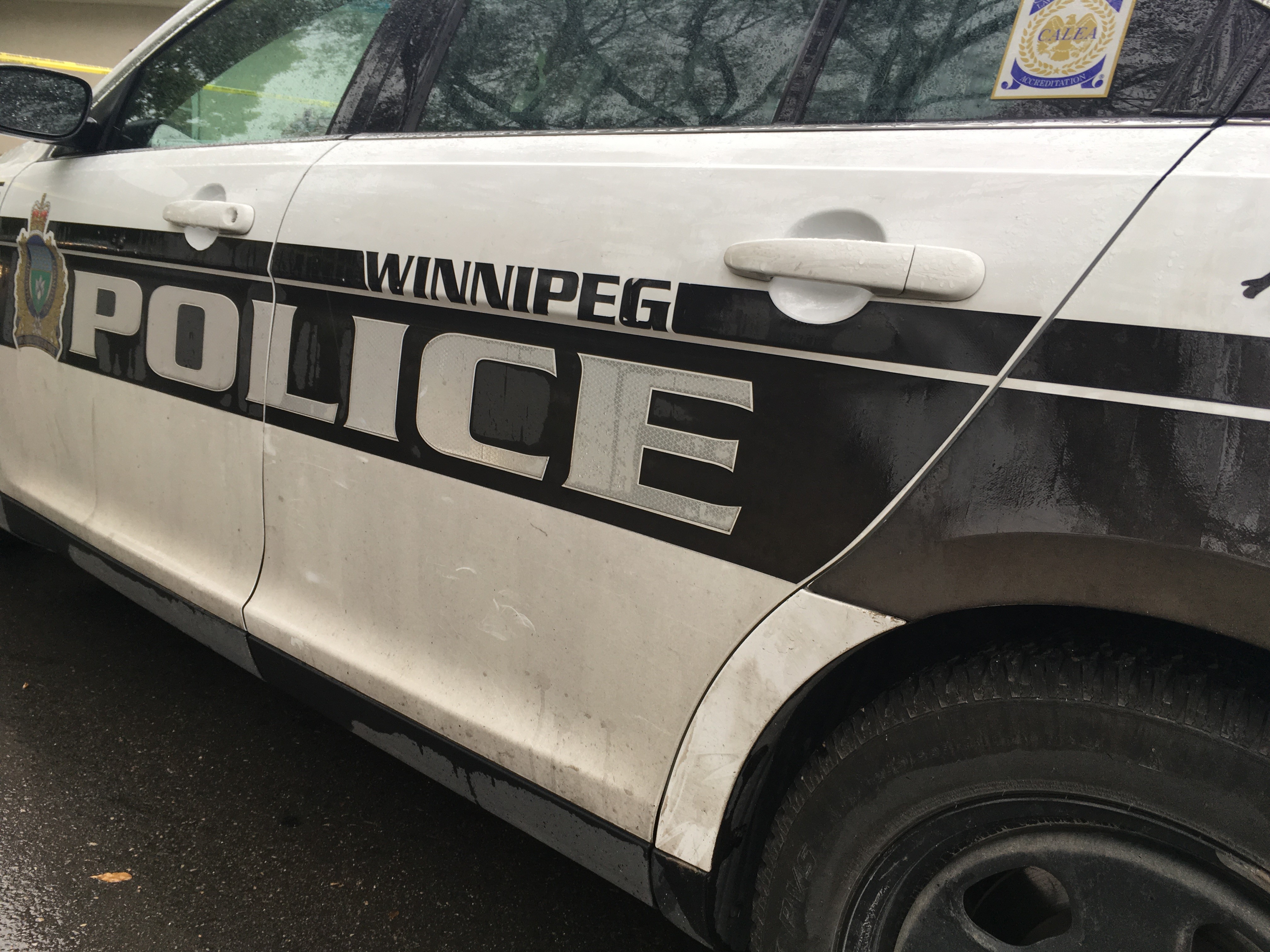 Winnipeg police nab dangerous driving suspect after car chase