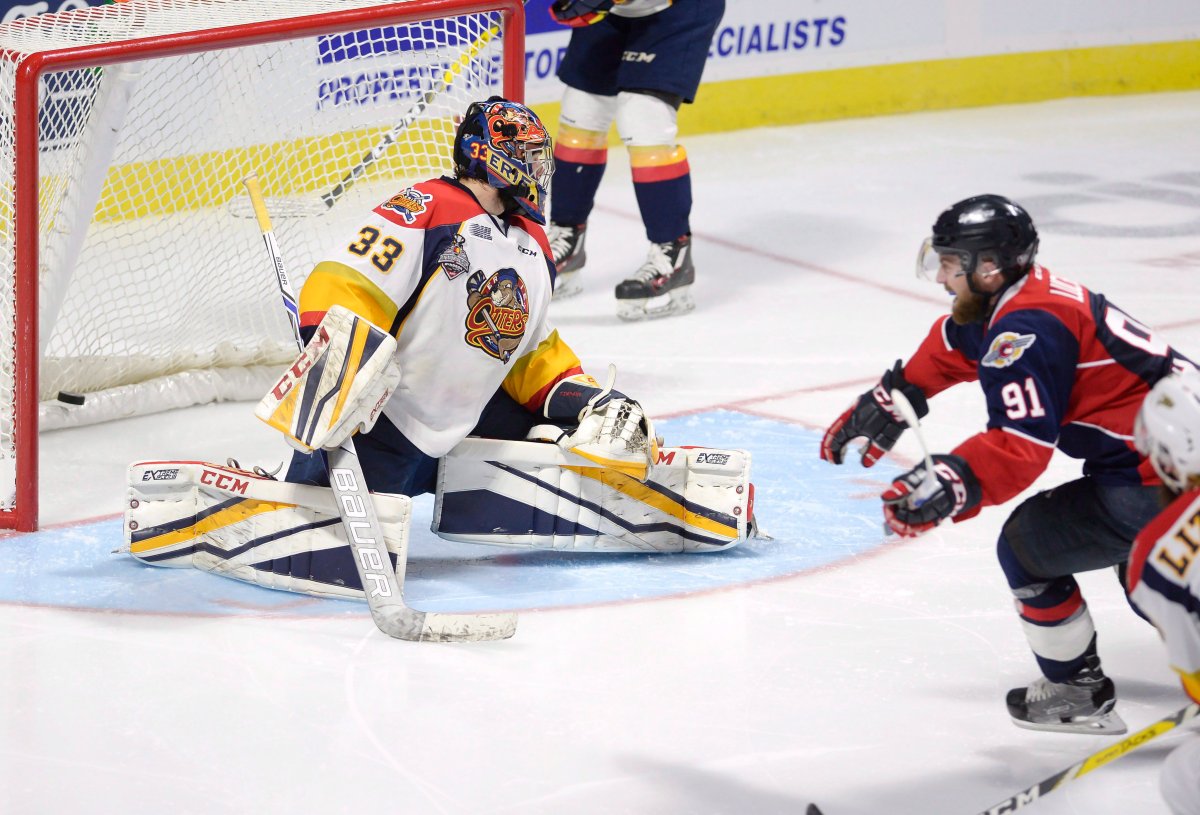 Windsor Spitfires centre Aaron Luchuk (91) celebrates his goal as Erie Otters goalie Troy Timpano (33) looks on during third period Memorial Cup final hockey action in Windsor, Ont., on Sunday, May 28, 2017. THE CANADIAN PRESS/Adrian Wyld.