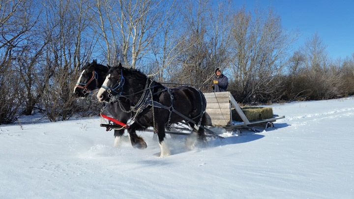 James Duncan took the Jan. 5 Your Saskatchewan photo in Dodsland.