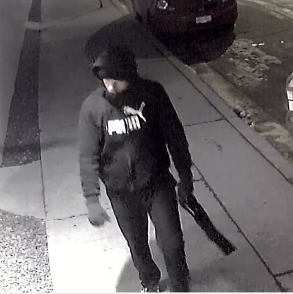 Vernon RCMP investigating botched armed robbery - image