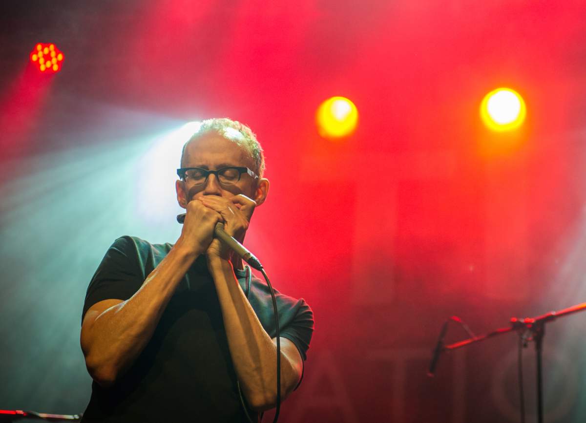 Rogue Folk Club | Carlos del Junco - image