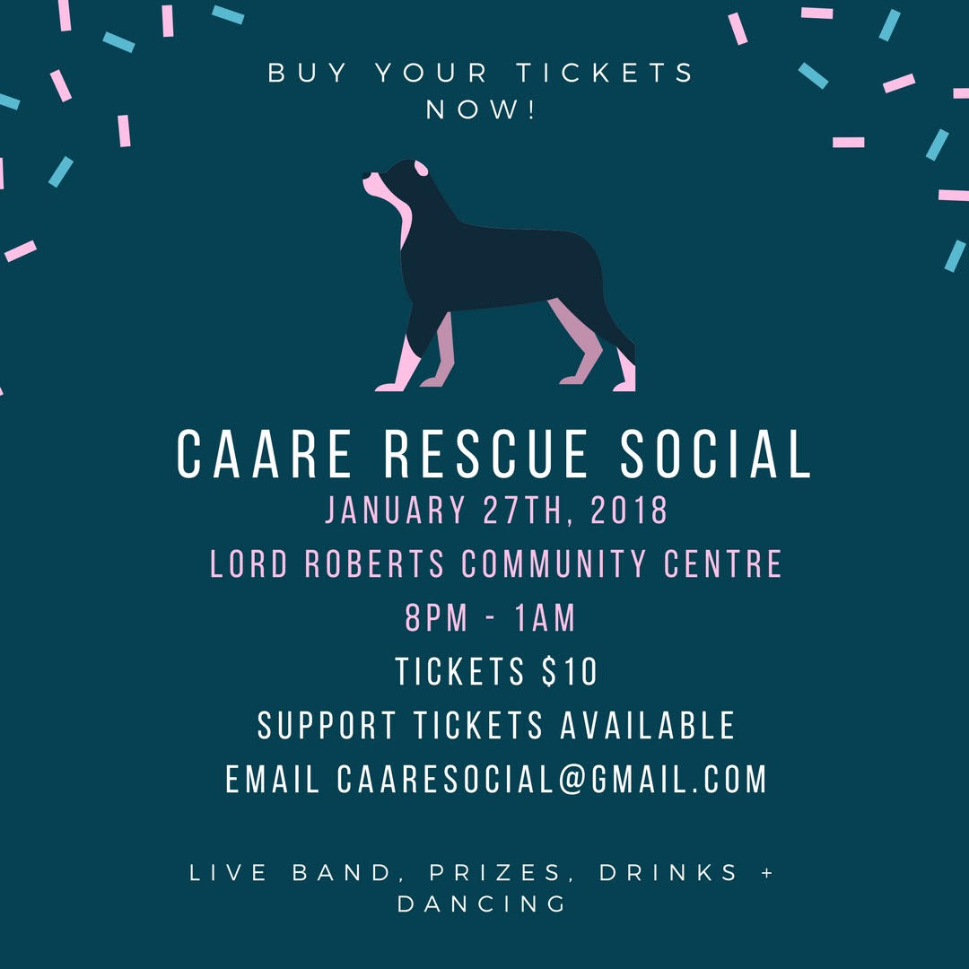 CAARE Rescue Social - image
