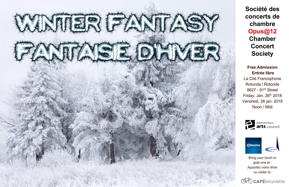 Winter Fantasy - image